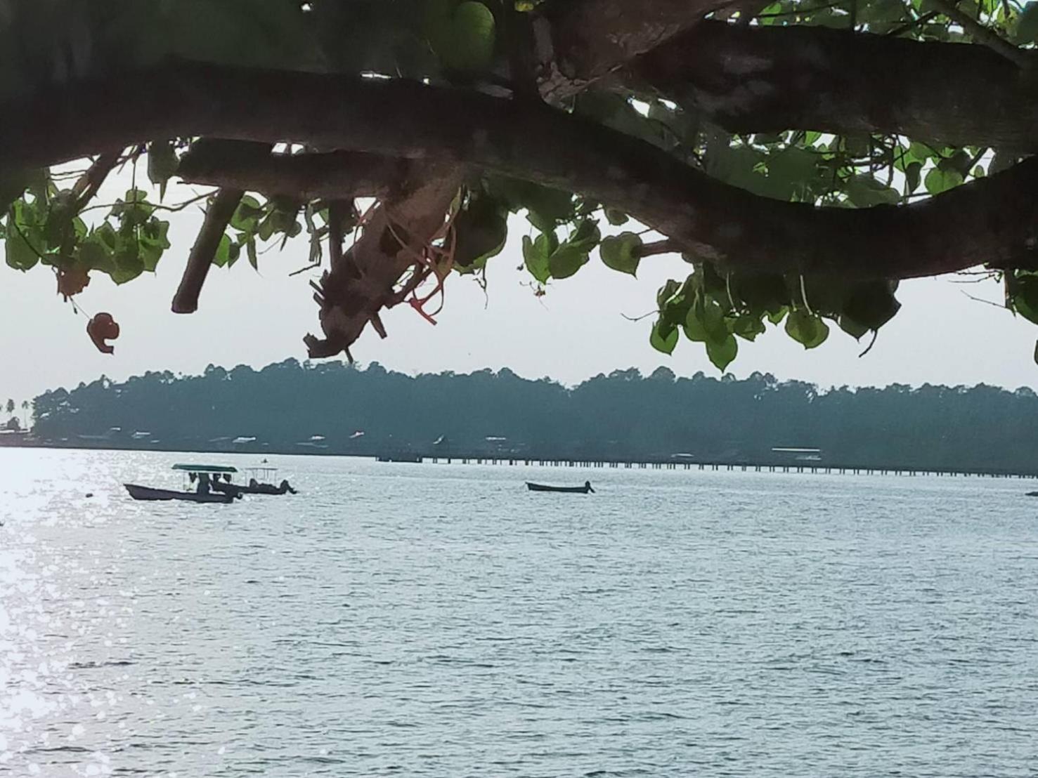 Eastique Hotel Koh Chang Trat Dış mekan fotoğraf